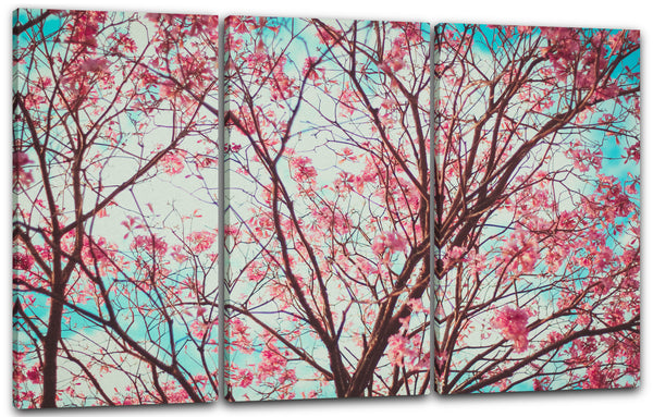 Leinwandbild Blumenbilder Blumenfotos Blüten-Baum mit rosa pinken Blüten