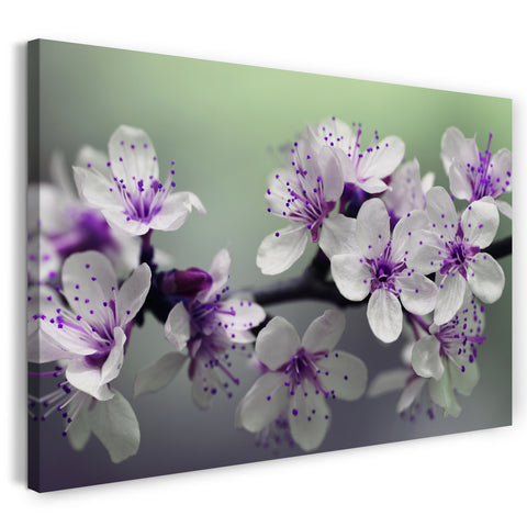 Leinwandbild Blumenbilder Blumenfotos Baumast mit lila-weißen Blüten