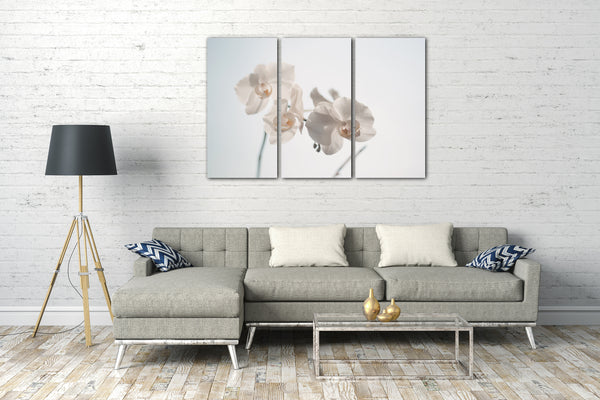 Leinwandbild Blumenbilder Blumenfotos weiße Blüten scharf unscharfer Hintergrund