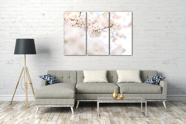 Leinwandbild Blumenbilder Blumenfotos weiße Blüten im Hintergrund