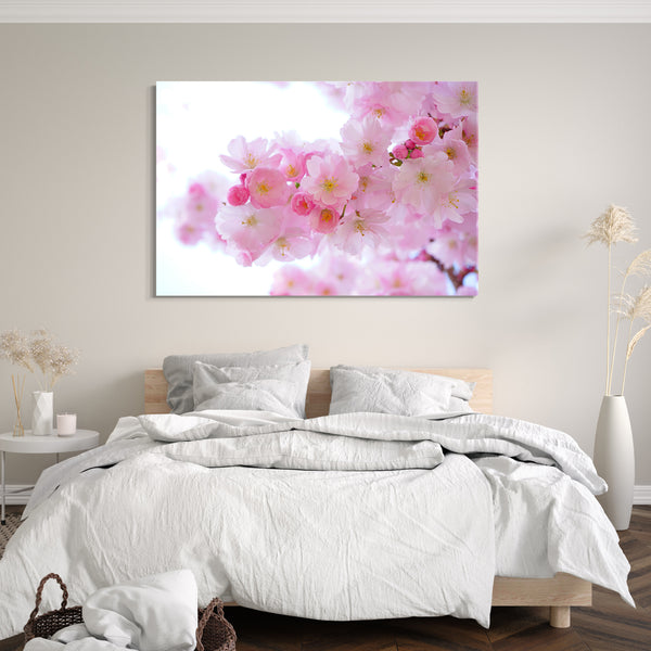 Leinwandbild Blumenbilder Blumenfotos Kirchblütenbaum Nahaufnahme rosa Blüten