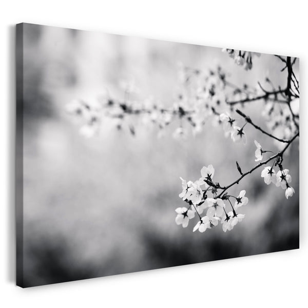 Leinwandbild Blumenbilder schwarz-weiß Foto von Blüten an dünnem Ast