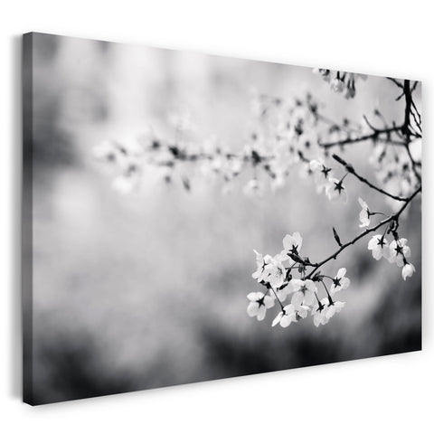 Leinwandbild Blumenbilder schwarz-weiß Foto von Blüten an dünnem Ast
