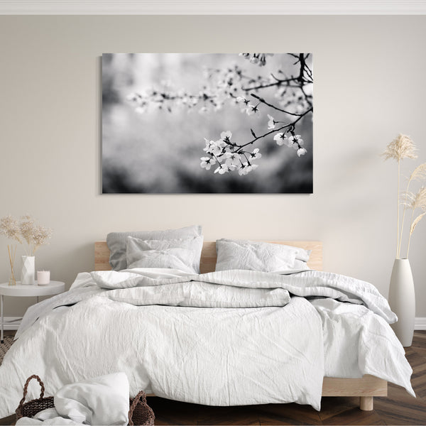 Leinwandbild Blumenbilder schwarz-weiß Foto von Blüten an dünnem Ast