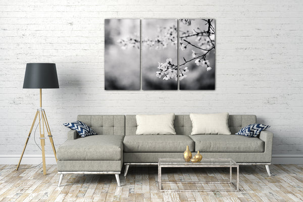 Leinwandbild Blumenbilder schwarz-weiß Foto von Blüten an dünnem Ast