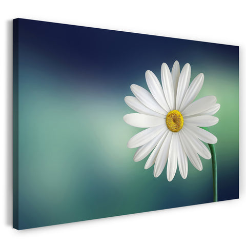 Leinwandbild Blumenbilder Blumenfotos Nahaufnahme Kamille Hintergrund hell-grün