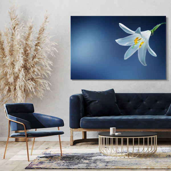 Leinwandbild Blumenbilder Blumenfotos Lilie weiß, Hintergrund hell-blau unscharf