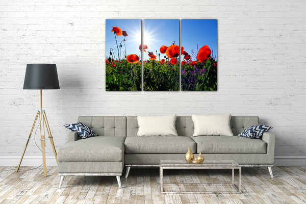 Leinwandbild Blumenbilder Mohnblume Mohnblumen-Feld Sonne links oben