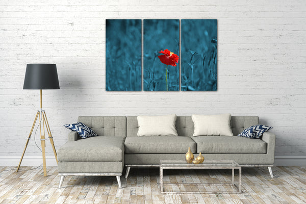 Leinwandbild Blumenbilder Mohnblume allein vor blauem Hintergrund