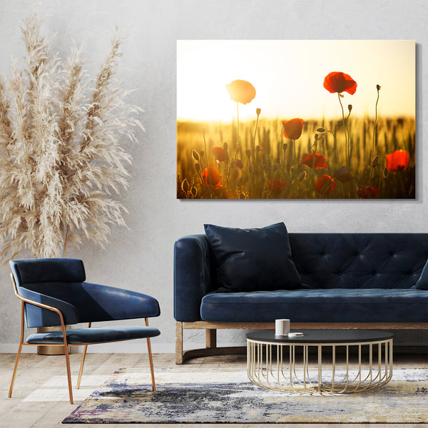 Leinwandbild Blumenbilder Blumenfotos Mohnblumen-Feld bei Sonnenaufgang