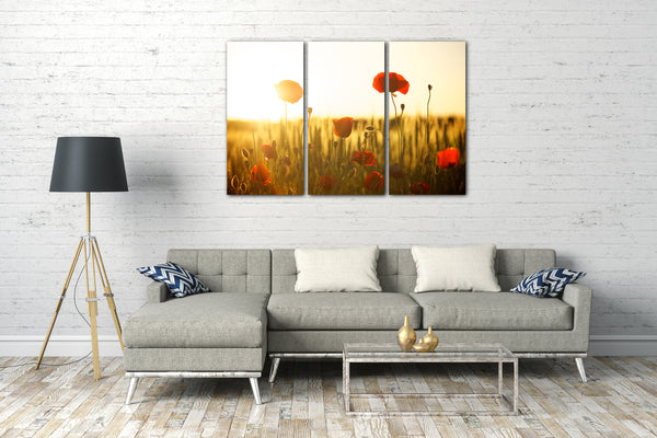 Leinwandbild Blumenbilder Blumenfotos Mohnblumen-Feld bei Sonnenaufgang