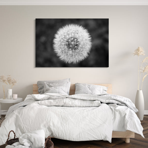 Leinwandbild Pusteblume Nahaufnahme schwarz-weiß vor grauem Hintergrund