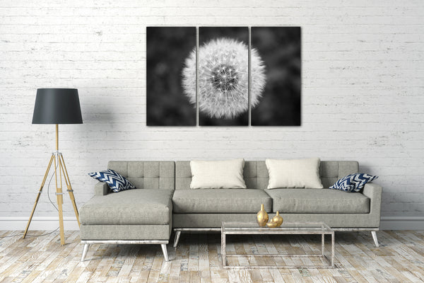 Leinwandbild Pusteblume Nahaufnahme schwarz-weiß vor grauem Hintergrund