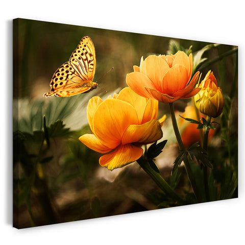 Leinwandbild Blumenbilder Schmetterling auf gelb-orangen Blumen