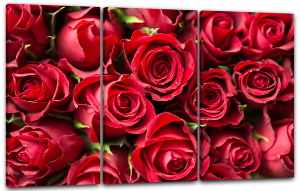Leinwandbild Blumenbilder Blumenfotos viele rote Rose in Nahaufnahme