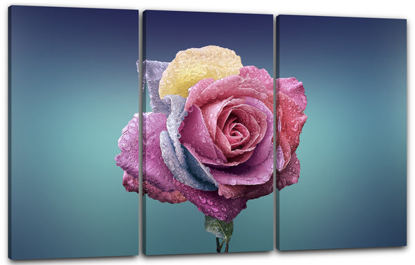 Leinwandbild Nahaufnahme Rose (hell-lila, blau, gelb) Hintergrund hell-grün