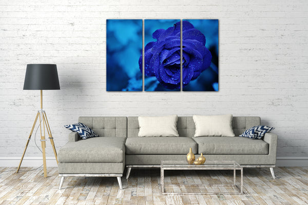 Leinwandbild Nahaufnahme Rose dunkel-blau vor hell-blauem Hintergrund