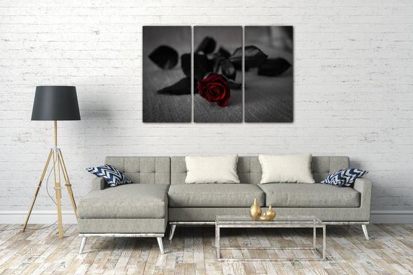Leinwandbild Blumenbilder Nahaufnahme Rose schwarz-weiß Blüte farbig