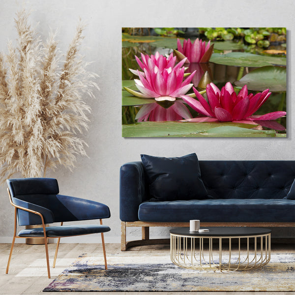 Leinwandbild Blumenbilder Blumenfotos drei Seerosen mit lila Blütenblättern