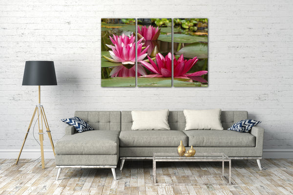 Leinwandbild Blumenbilder Blumenfotos drei Seerosen mit lila Blütenblättern