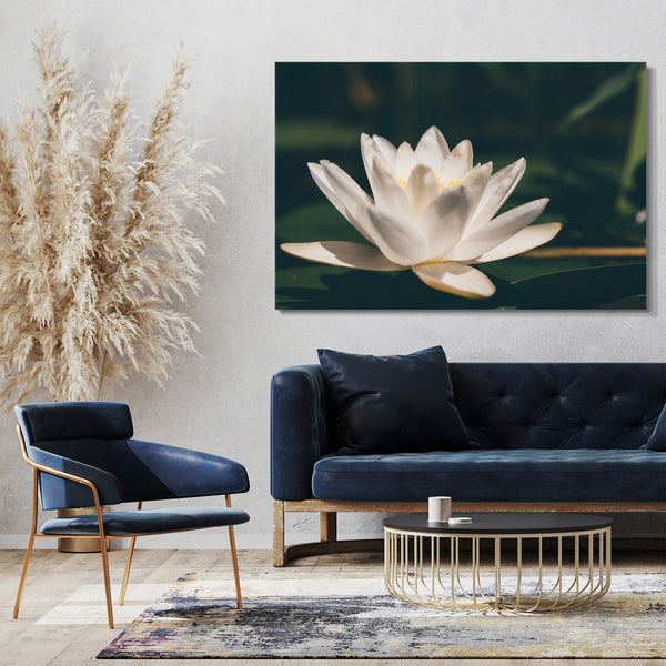 Leinwandbild Blumenbilder Blumenfotos Seerose Nahaufnahme weiße Blätter
