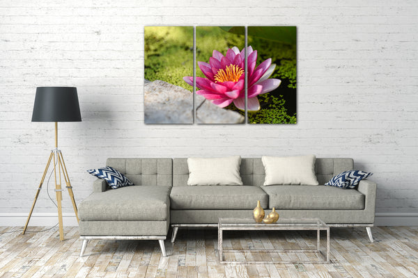 Leinwandbild Blumenbilder Blumenfotos Seerose mit pink-farbenen Blättern