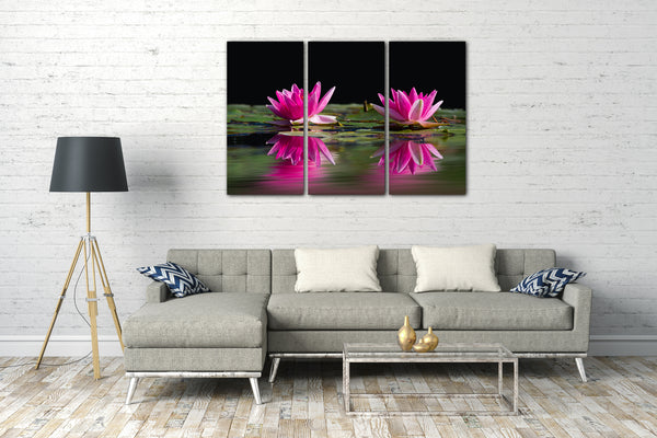 Leinwandbild Blumenbilder Blumenfotos zwei Seerosen mit pinken Blättern