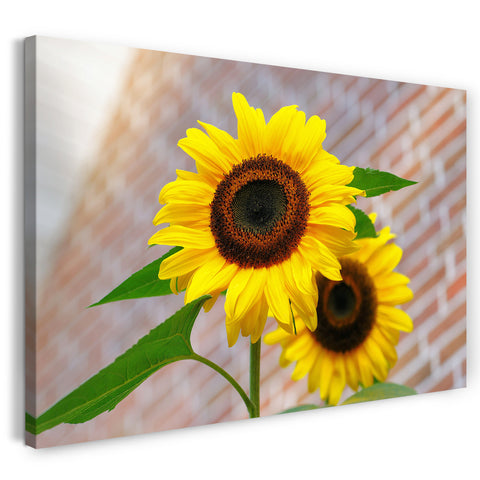 Leinwandbild Blumenbilder Nahaufnahme zwei Sonnenblumen Blick von unten