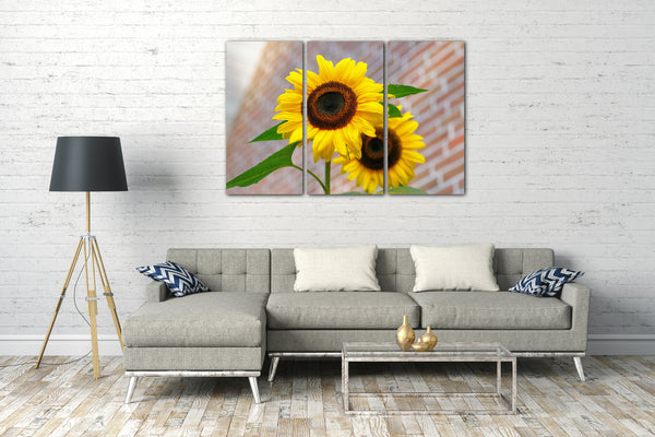 Leinwandbild Blumenbilder Nahaufnahme zwei Sonnenblumen Blick von unten