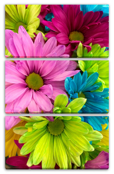 Leinwandbild Blumenbilder Nahaufnahme bunte Blumen grün, rosa, blau, gelb