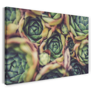 Leinwandbild Wandbild zur Küchendeko, Motiv mit Artichoken in Nahaufnahme