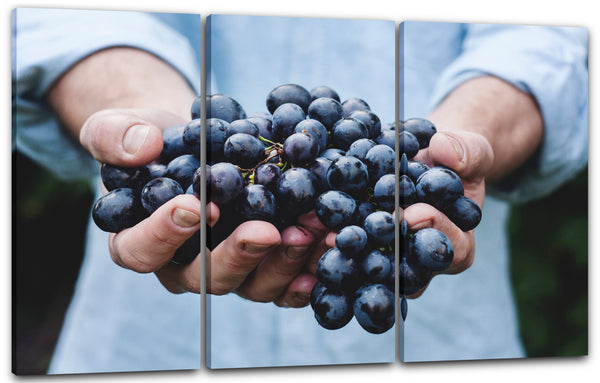 Leinwandbild Essensbilder Gemüse Obst Früchte Weintrauben in zwei Händen