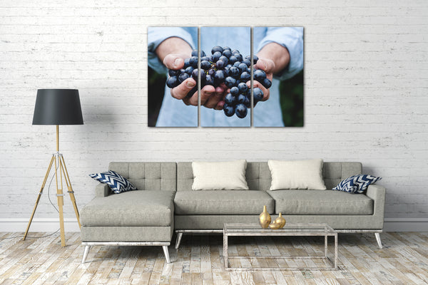 Leinwandbild Essensbilder Gemüse Obst Früchte Weintrauben in zwei Händen