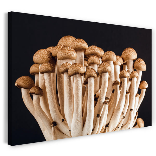 Leinwandbild Essensbilder Pilze Champignons Pilze vor schwarzem Hintergrund