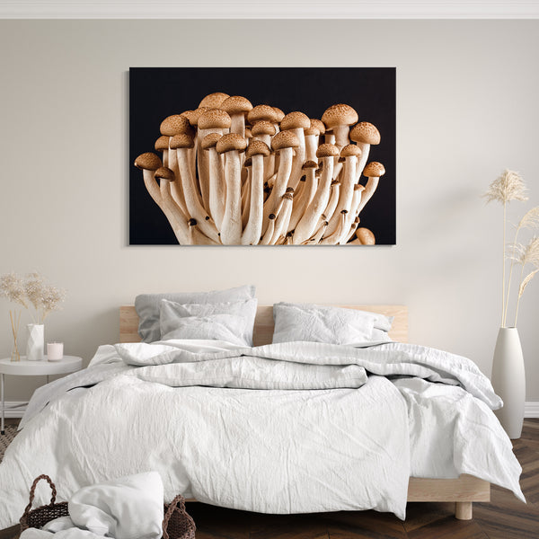 Leinwandbild Essensbilder Pilze Champignons Pilze vor schwarzem Hintergrund