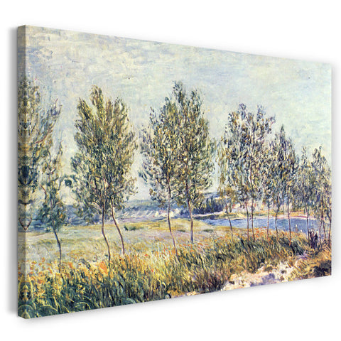 Leinwandbild Alfred Sisley - Meadow in By