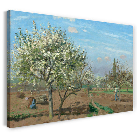 Leinwandbild Camille Pissarro - Orchard in Blossom, Louveciennes