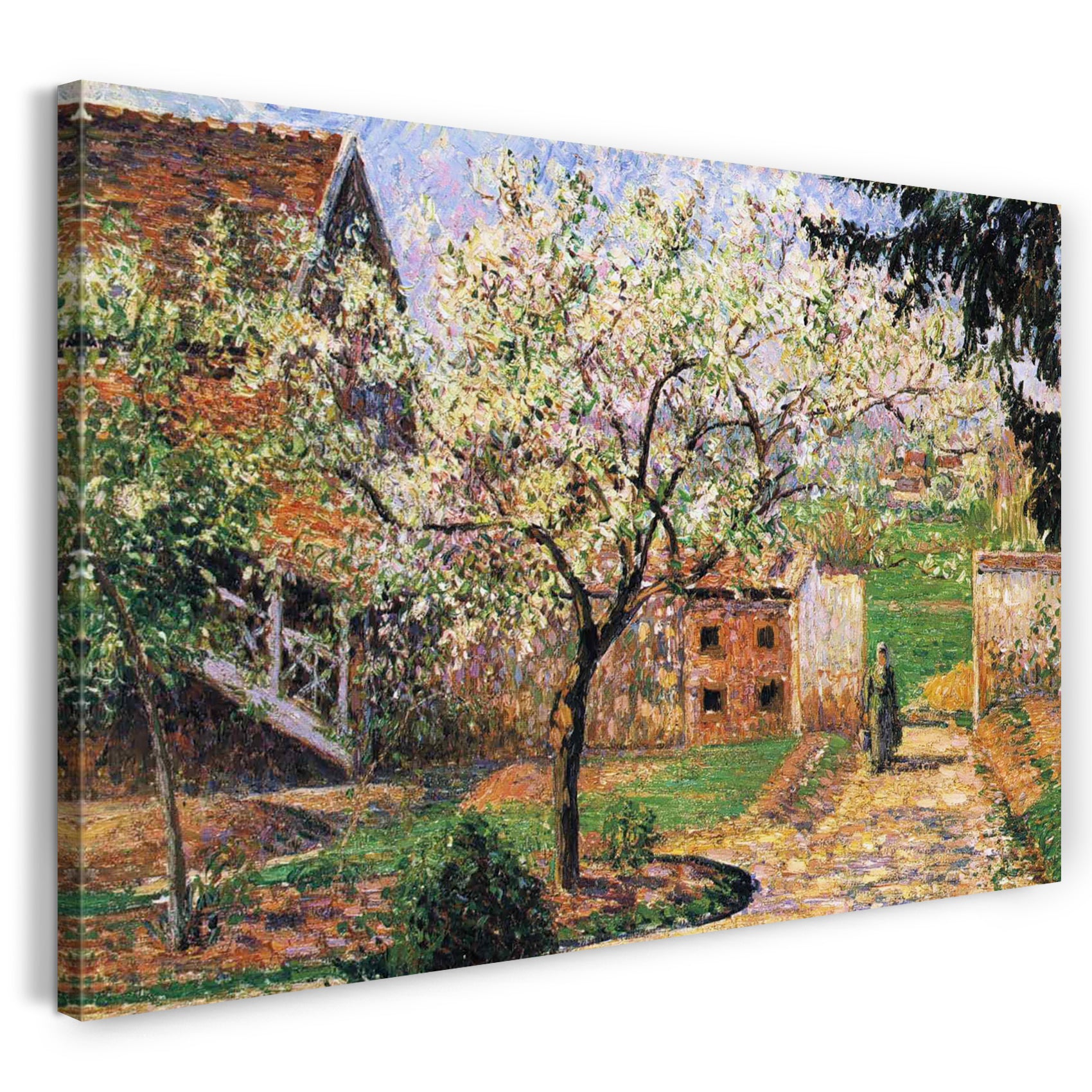 Leinwandbild Camille Pissarro - Flowering Plum Tree Eragny