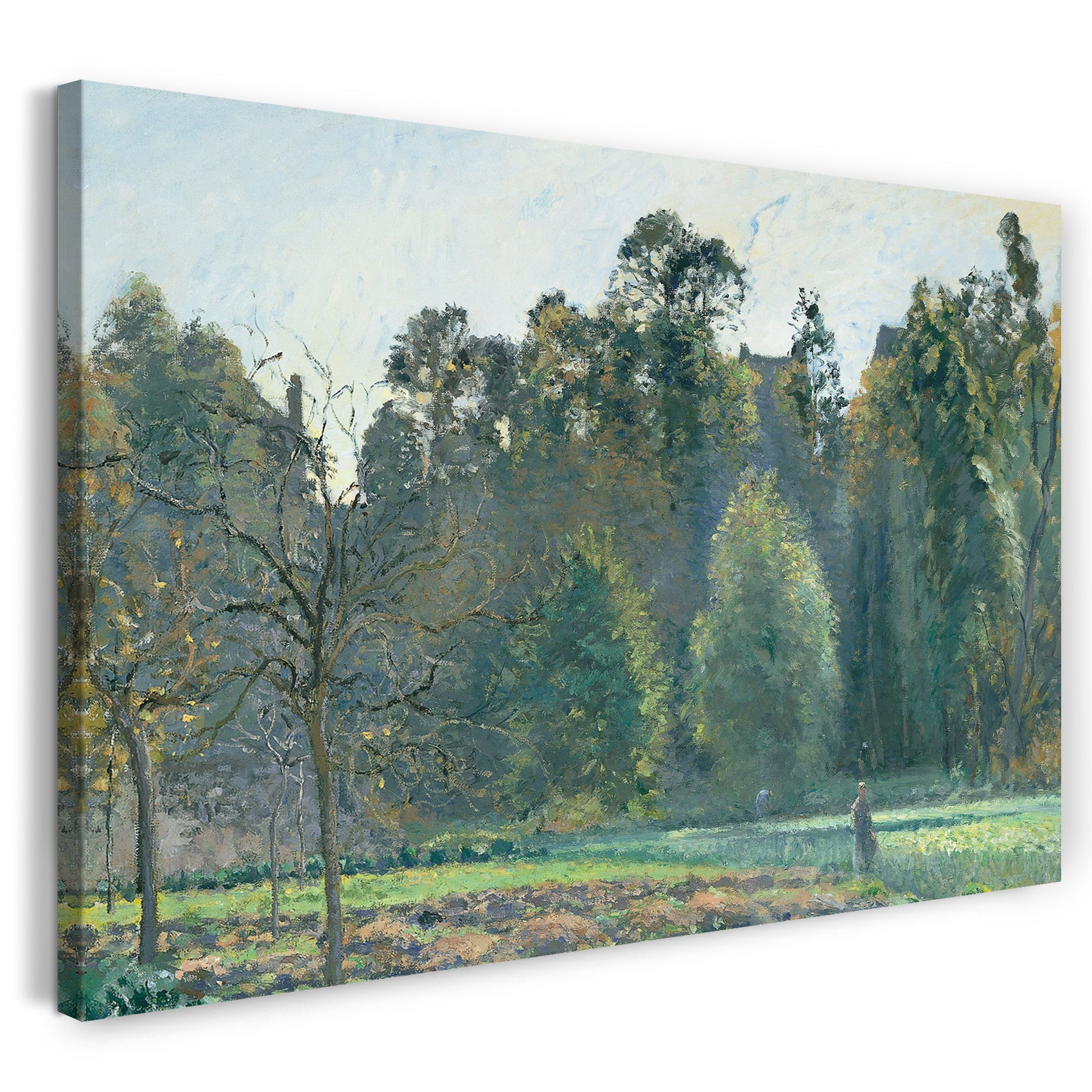 Leinwandbild Camille Pissarro - Le champ de chou, Pontoise