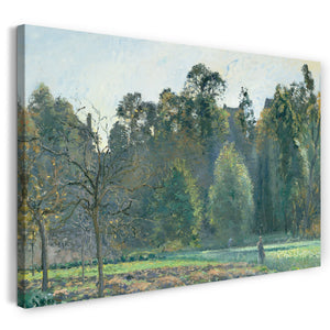 Leinwandbild Camille Pissarro - Le champ de chou, Pontoise
