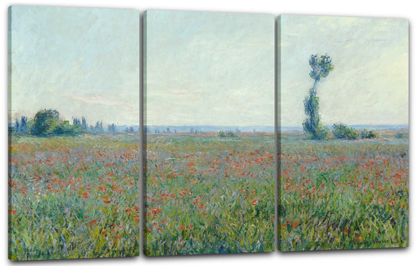 Leinwandbild Claude Monet - Mohnfeld