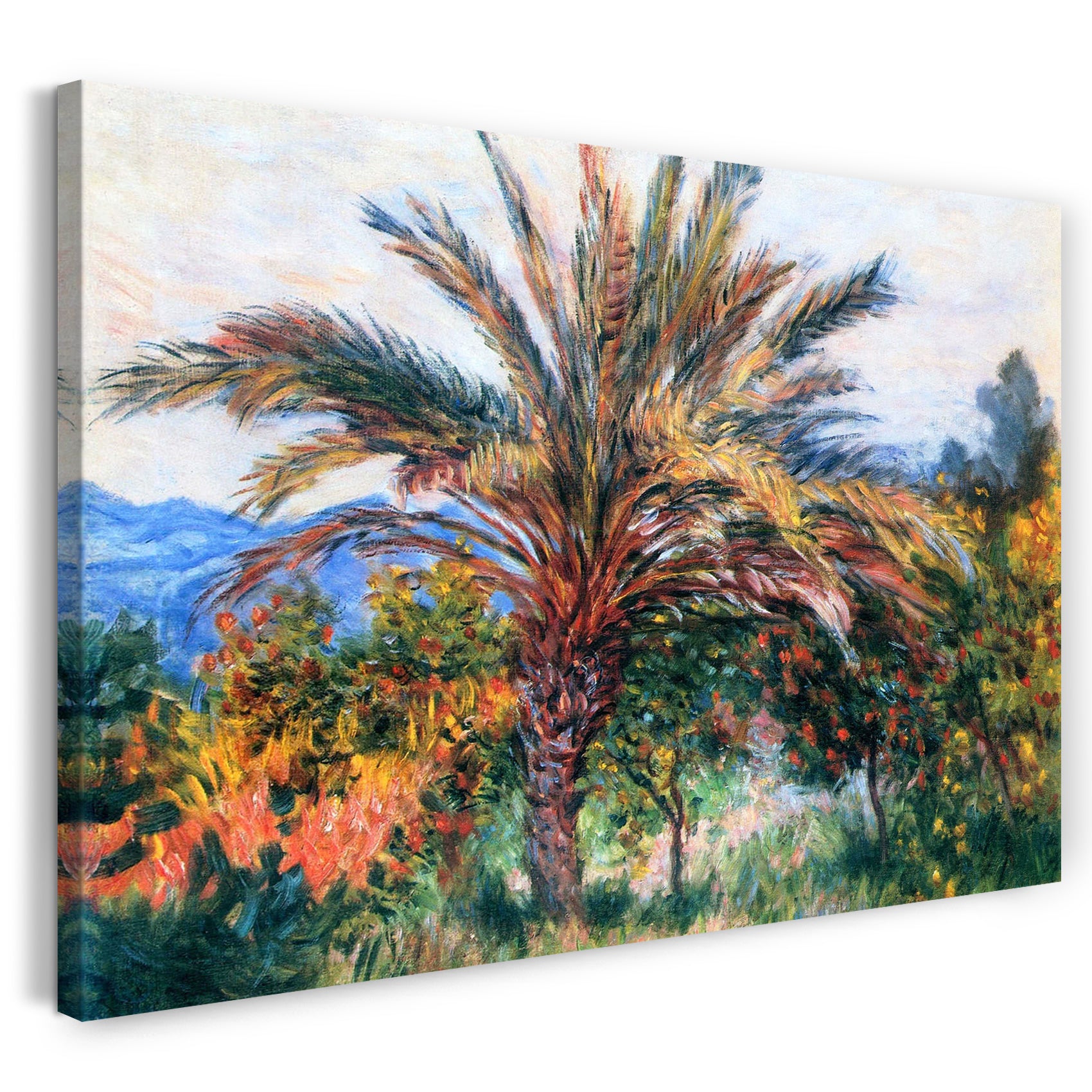Leinwandbild Claude Monet - Palme bei Bordighera