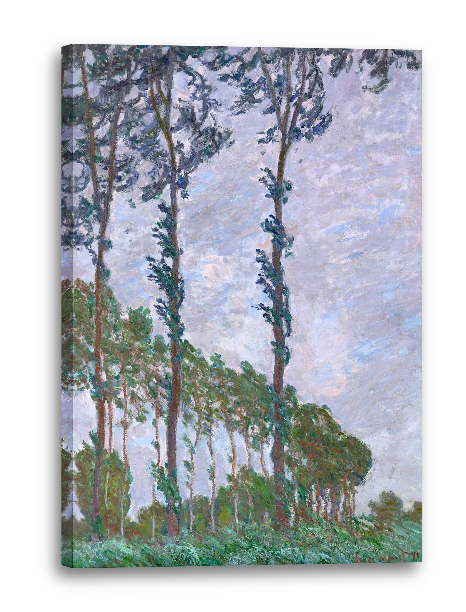 Leinwandbild Claude Monet - Pappeln (Wind-Effekt)