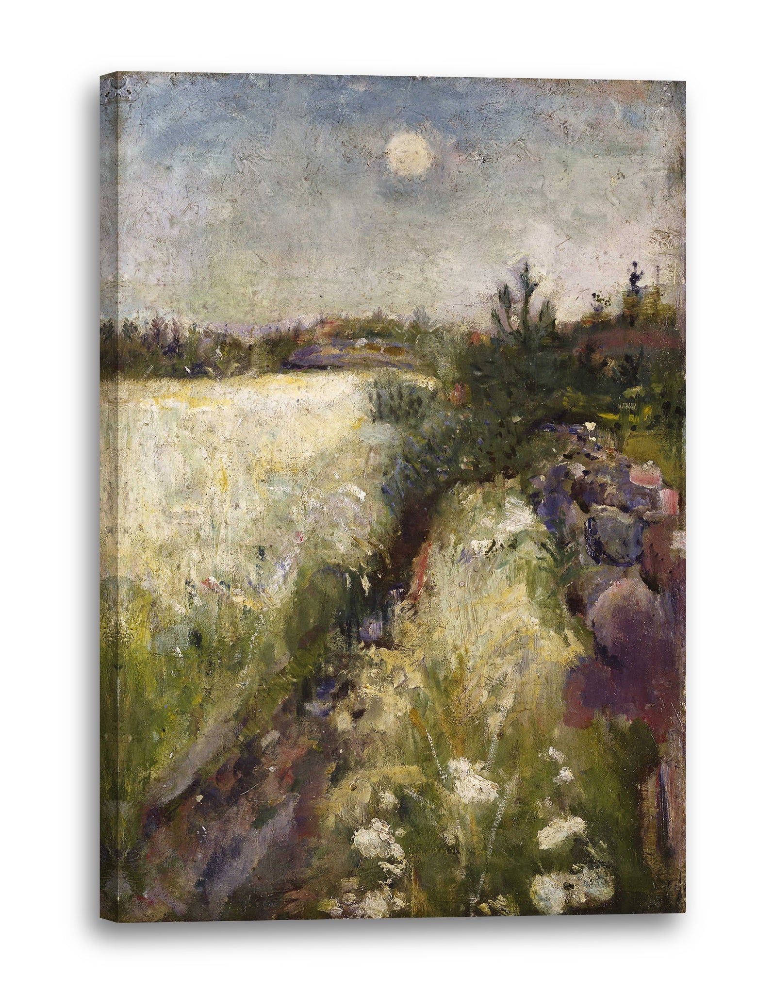 Leinwandbild Edward Munch - Blumige Weide in Veierland