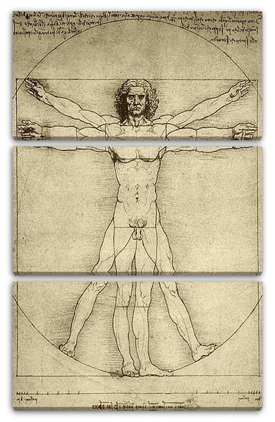 Leinwandbild Leonardo da Vinci - Vitruvianischer Mensch
