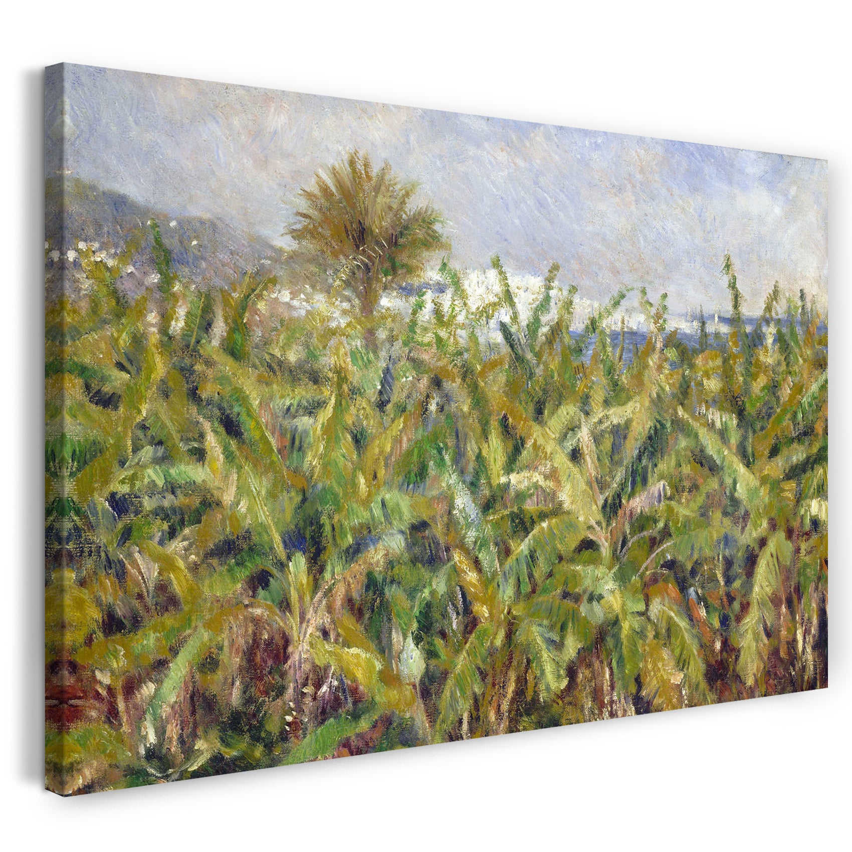 Leinwandbild Pierre-Auguste Renoir - Feld mit Bananenbäumen