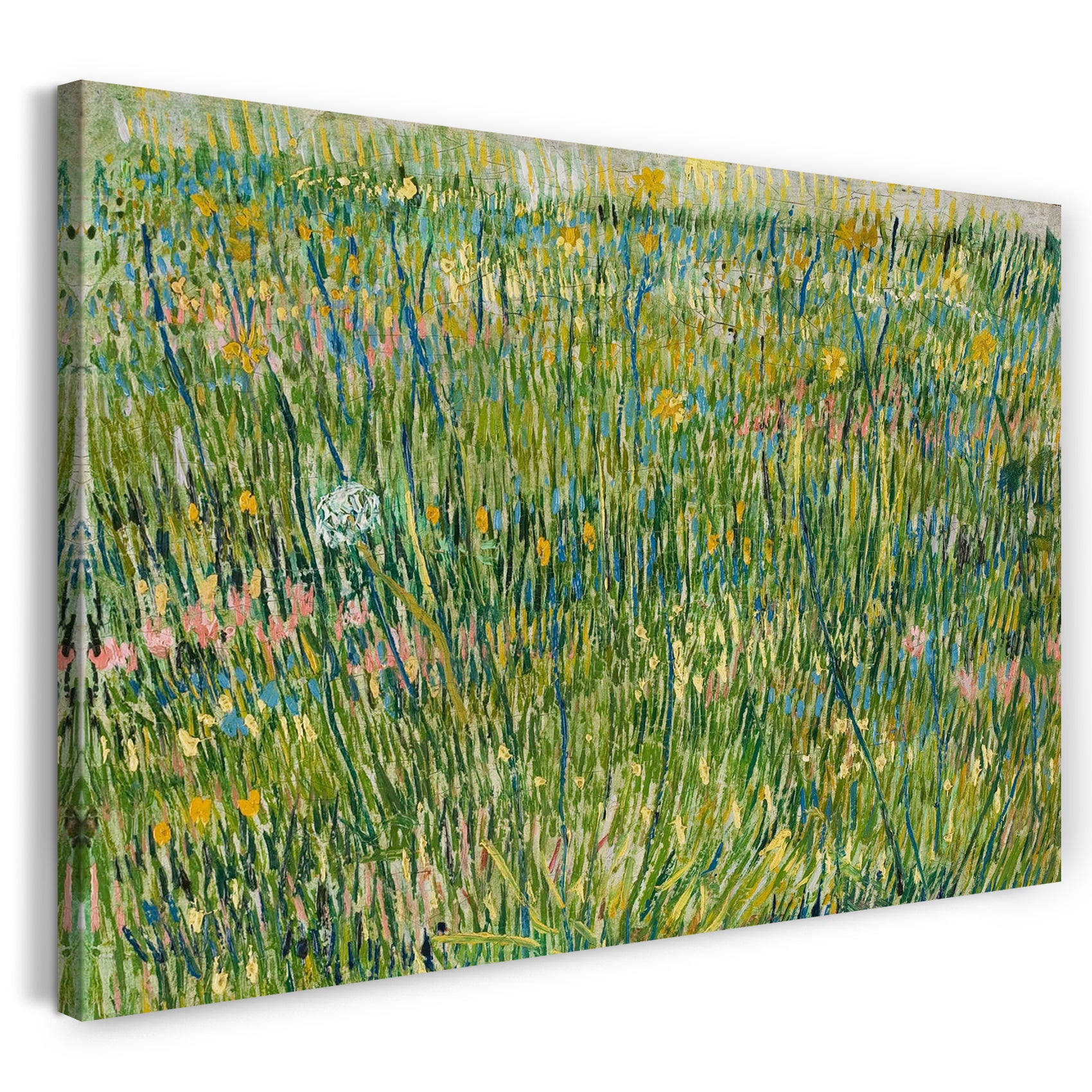 Leinwandbild Vincent van Gogh - Gras-Stelle
