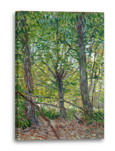 Leinwandbild Vincent van Gogh - Bäume