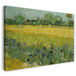 Leinwandbild Vincent van Gogh - Feld mit Blumen in der Nähe von Arles