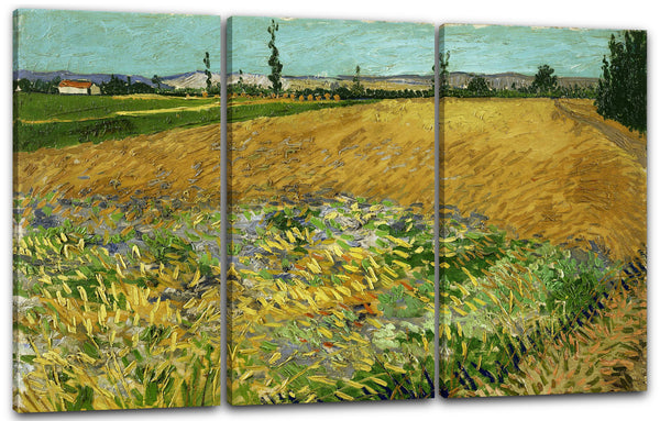 Leinwandbild Vincent van Gogh - Weizenfeld